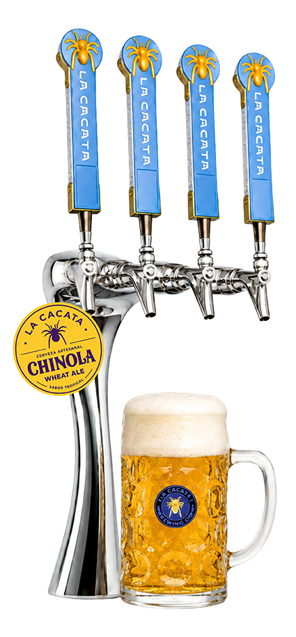 Draft chinola wheat