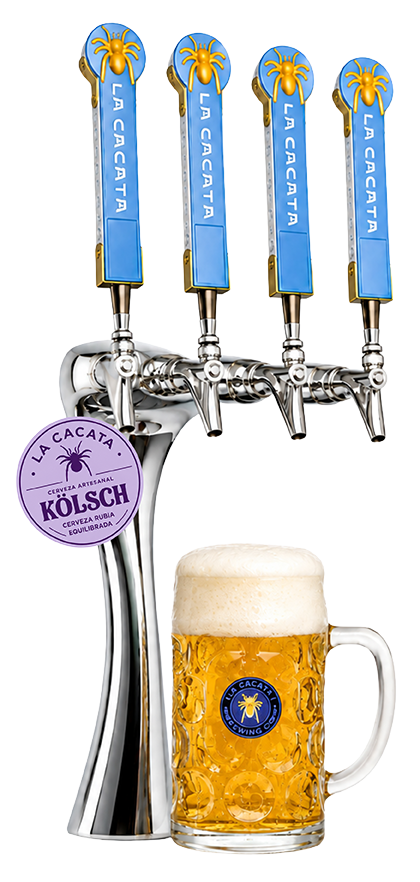 draft Kölsch
