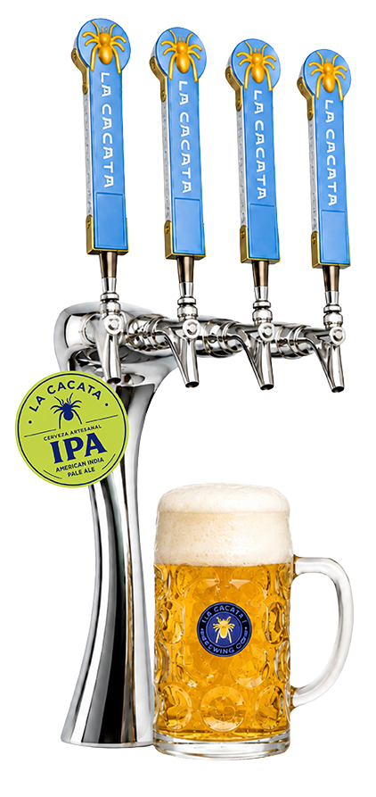 draft american ipa